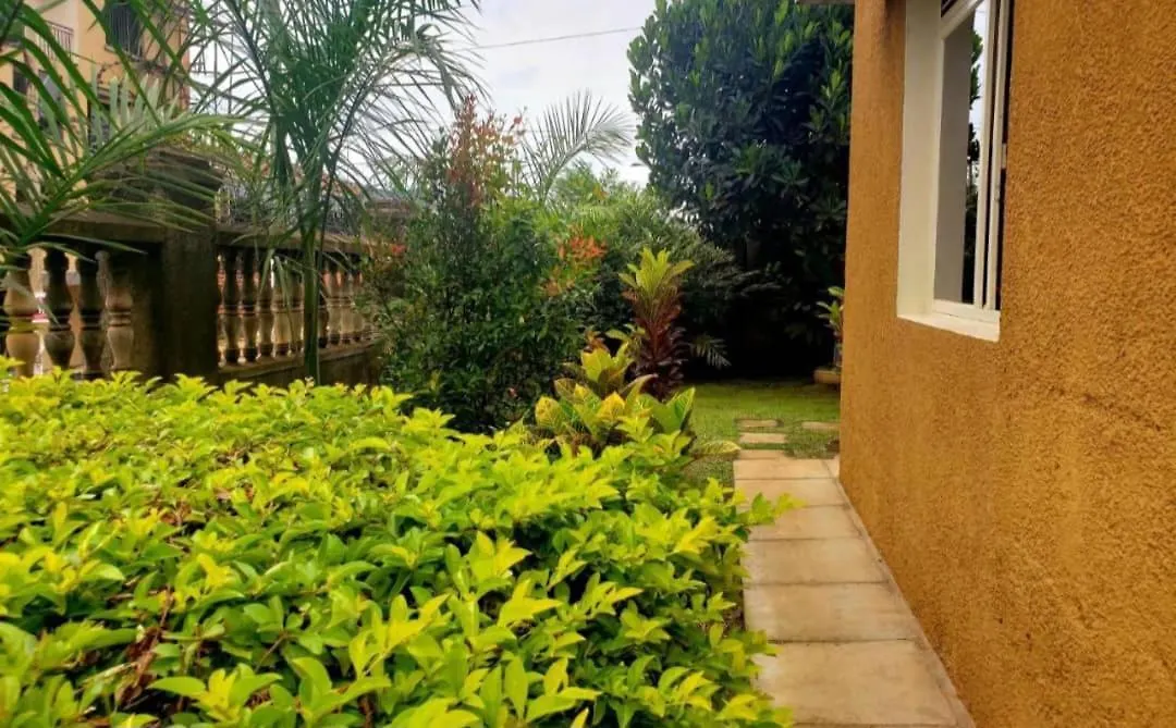 Tgs Homestay Nest Kampala
