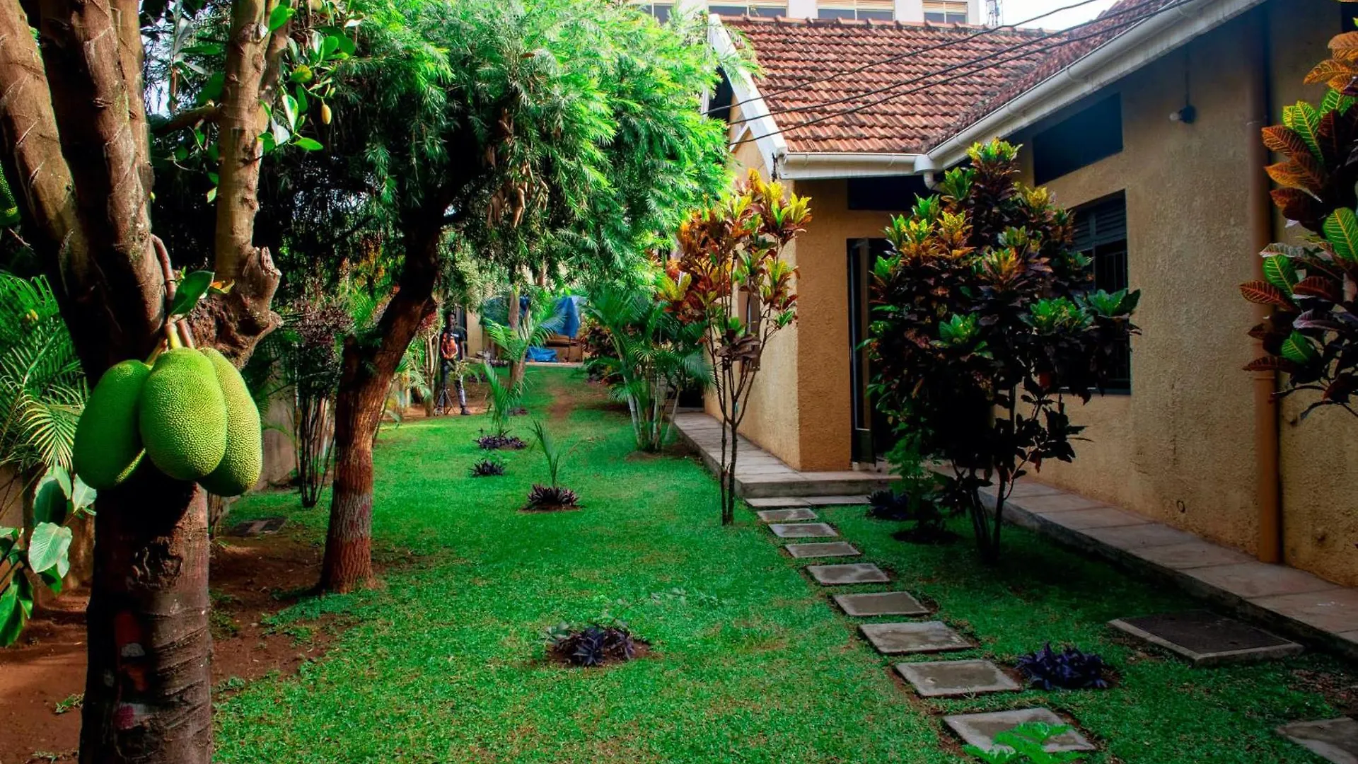 Tgs Homestay Nest Kampala